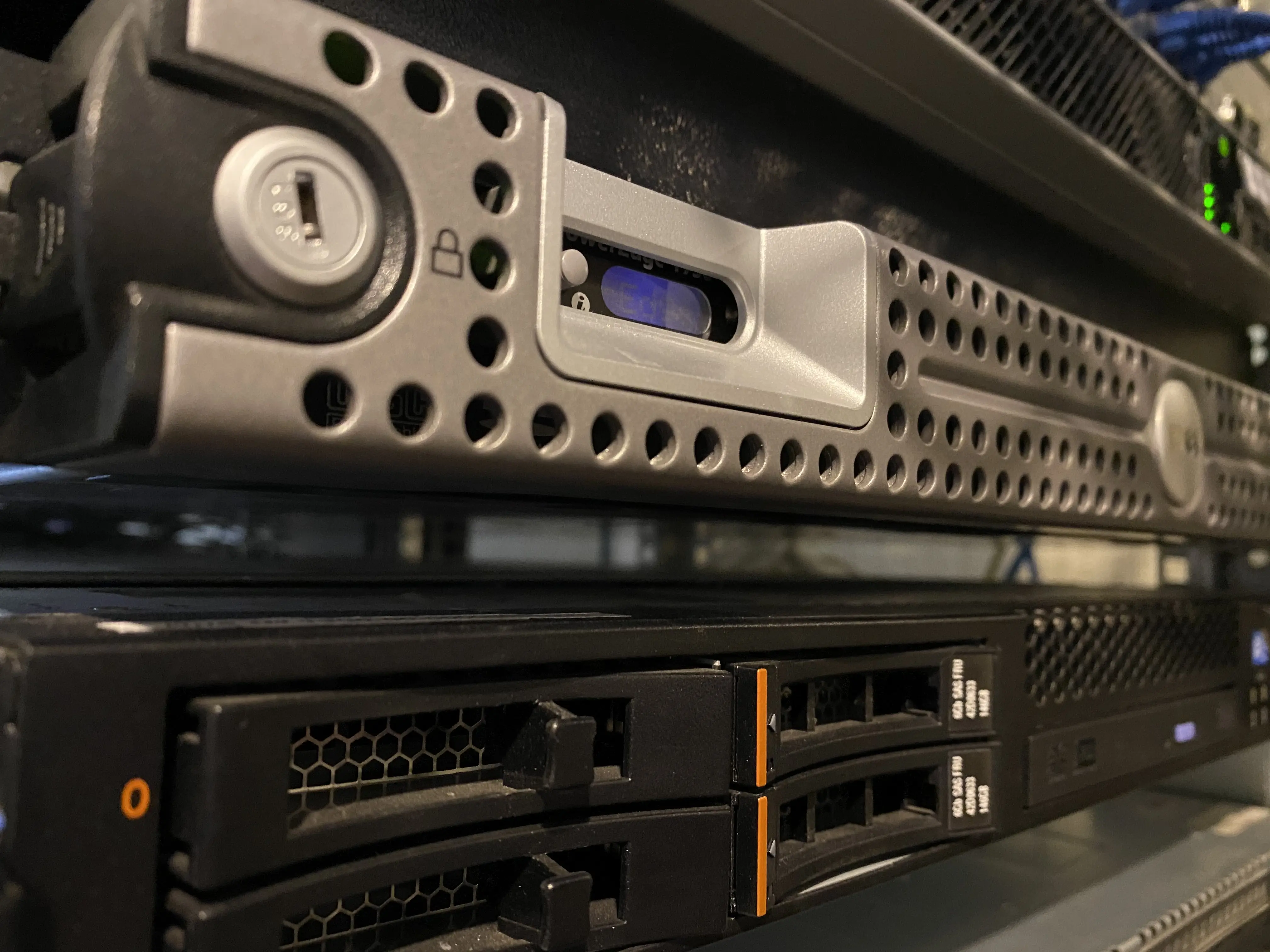 Positive entrepreneurs analyzing reports.